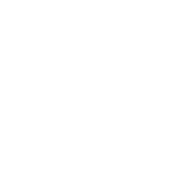 A simplified line drawing of a speaker connected to audio cables.