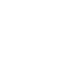 White icon of a microchip with a lightning bolt symbol in the center, representing electronic or computer technology.