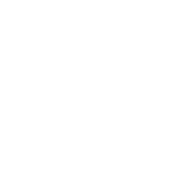 A white house icon with a peaked roof and chimney is displayed on a light gray background.