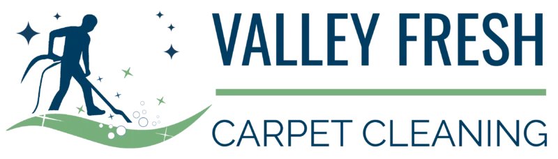 A logo with a figure cleaning carpet, blue sparkles, and the text "VALLEY FRESH CARPET CLEANING" in blue and green letters.